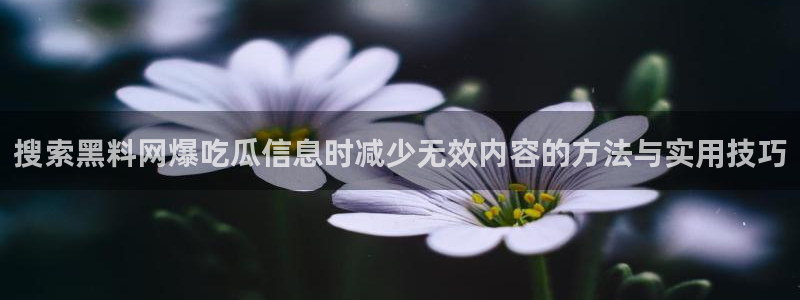 51吃瓜入口：搜索黑料网爆吃瓜信息时减少无效内容的方法与实用技巧