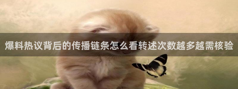 51 吃瓜网
