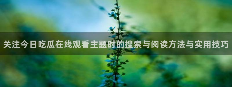 17吃瓜爆料