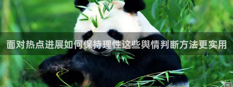 吃瓜爆黑料:面对热点进展如何保持理性这些舆情判断方法更实用