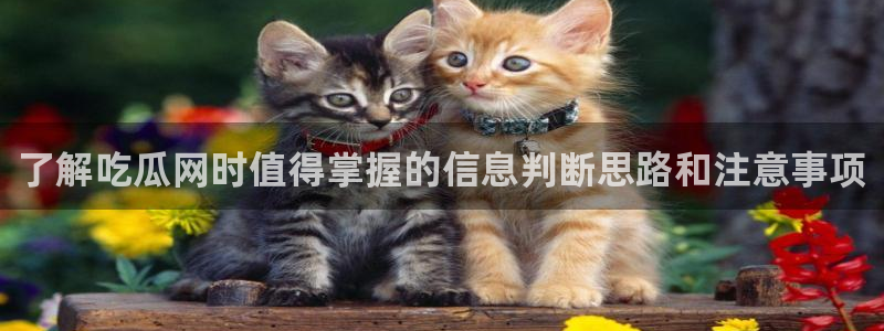 51吃瓜网站入口