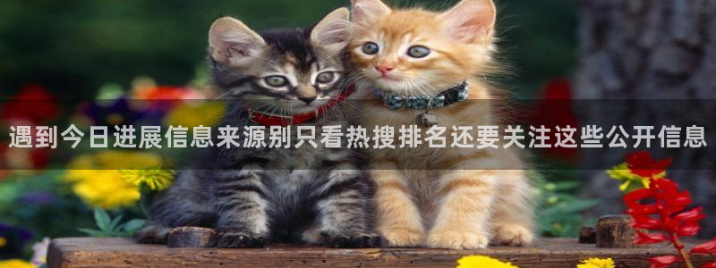 免费吃瓜网