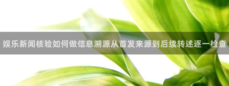 吃瓜爆料真实:娱乐新闻核验如何做信息溯源从首发来源到后续转述逐一检查