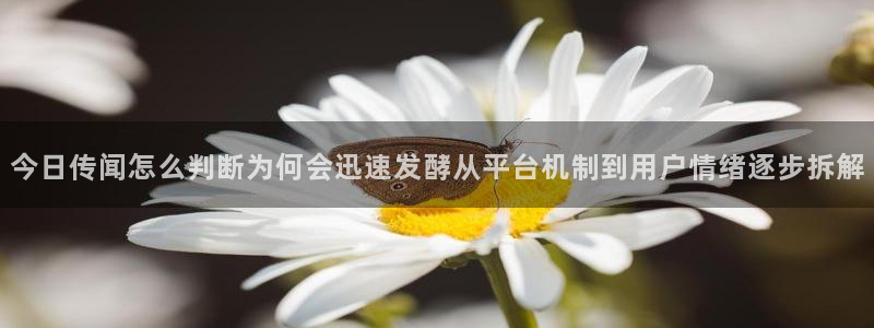 吃瓜在线视频：今日传闻怎么判断为何会迅速发酵从平台机制到用户情绪逐步拆解