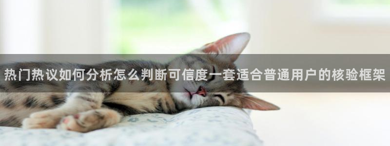 51吃瓜网在线:热门热议如何分析怎么判断可信度一套适合普通用户的核验框架